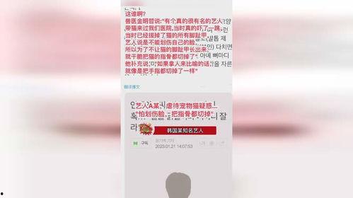 韩国兽医爆料视频,揭露宠物食品行业惊人内幕  第2张